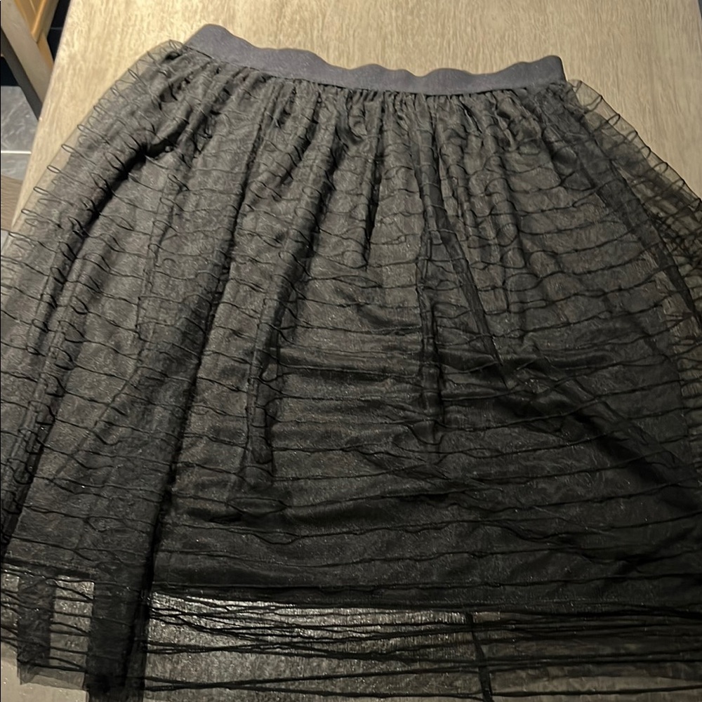 Black Sheer Woman’s Skirt